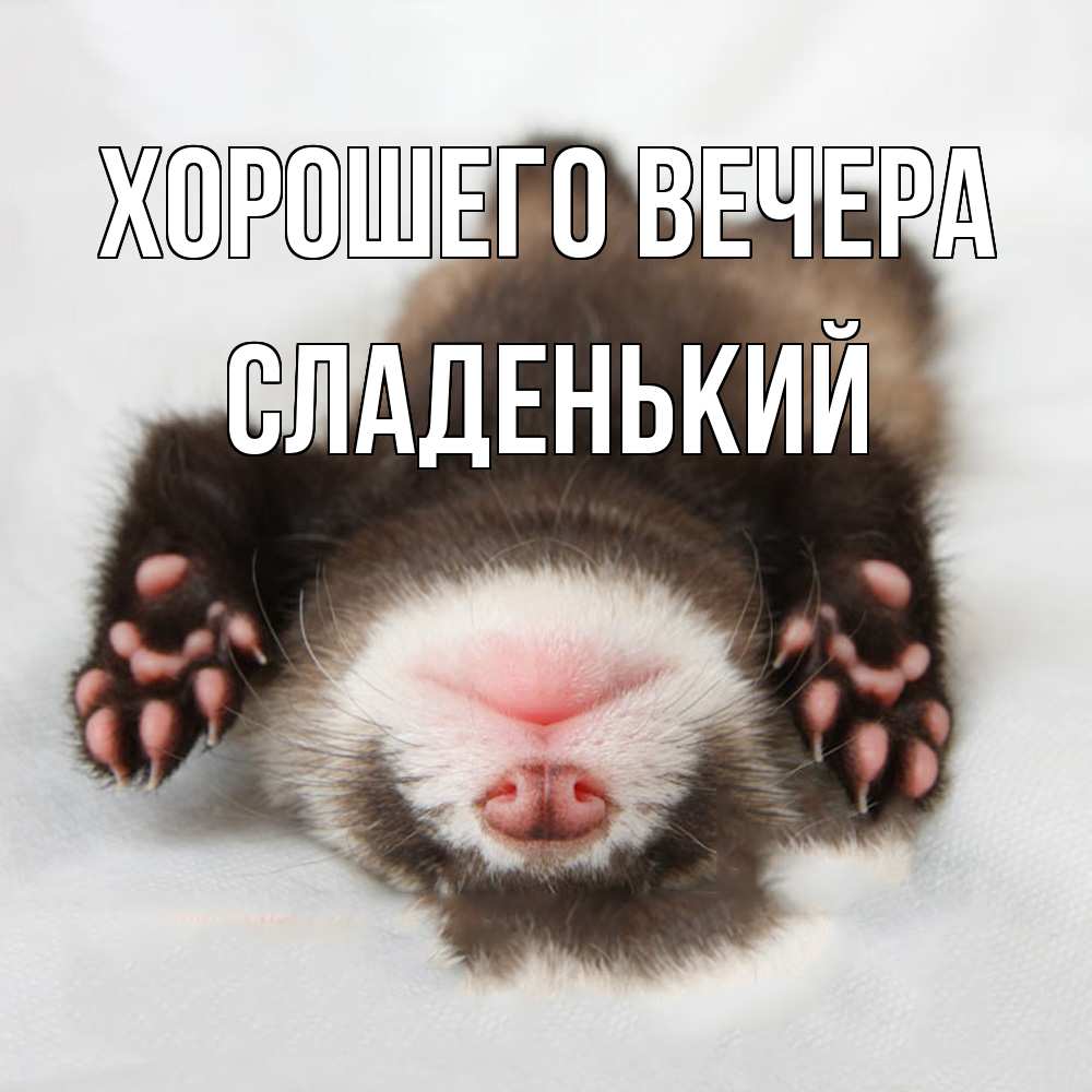 Открытка  для любимых и родных. сладенький, Хорошего вечера  