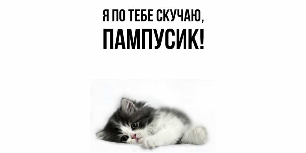 Открытка  для любимых и родных. пампусик, Я по тебе скучаю  