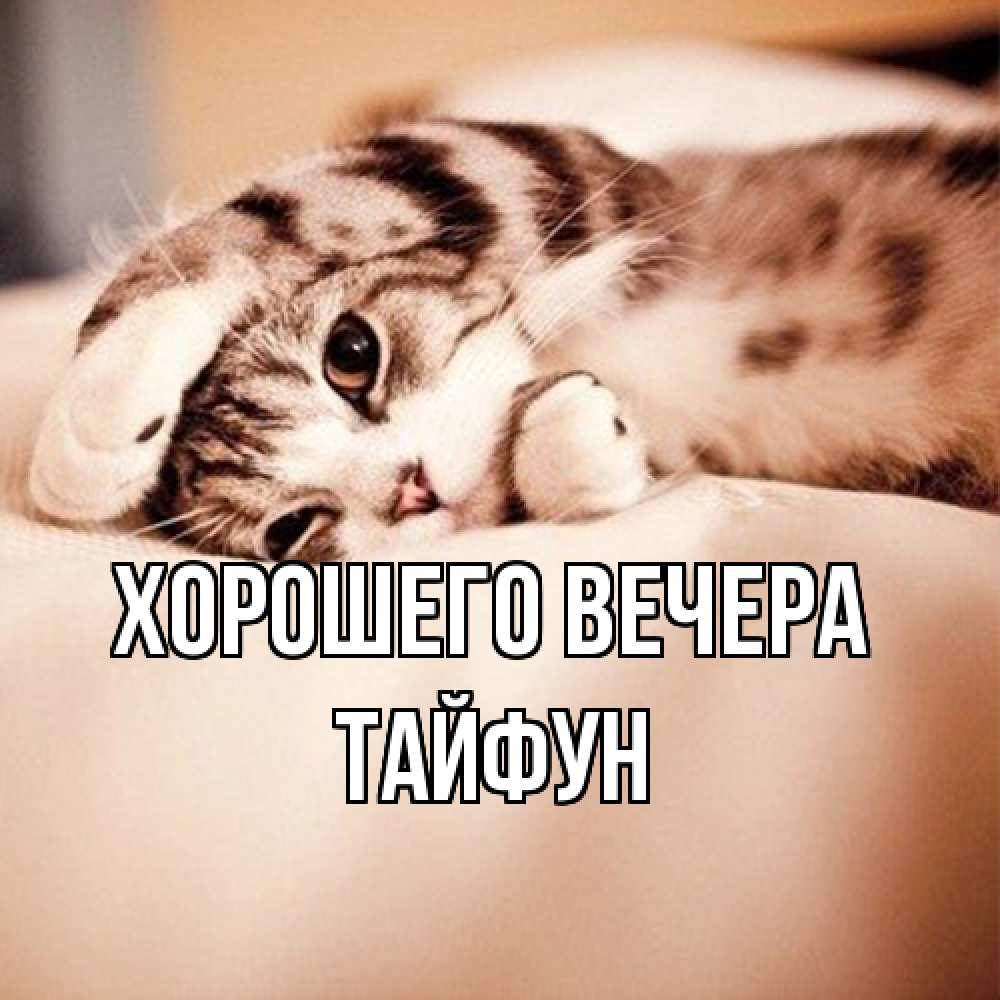 Открытка  для любимых и родных. тайфун, Хорошего вечера  