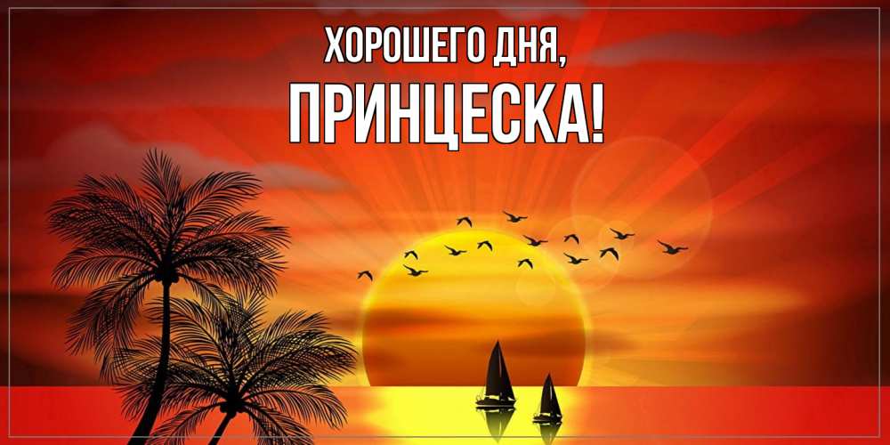 Открытка  для любимых и родных. принцеска, Хорошего дня  