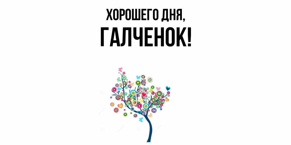 Картинка Хорошего дня, галченок