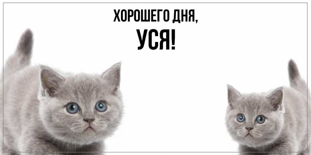 Открытка  для любимых и родных. уся, Хорошего дня  