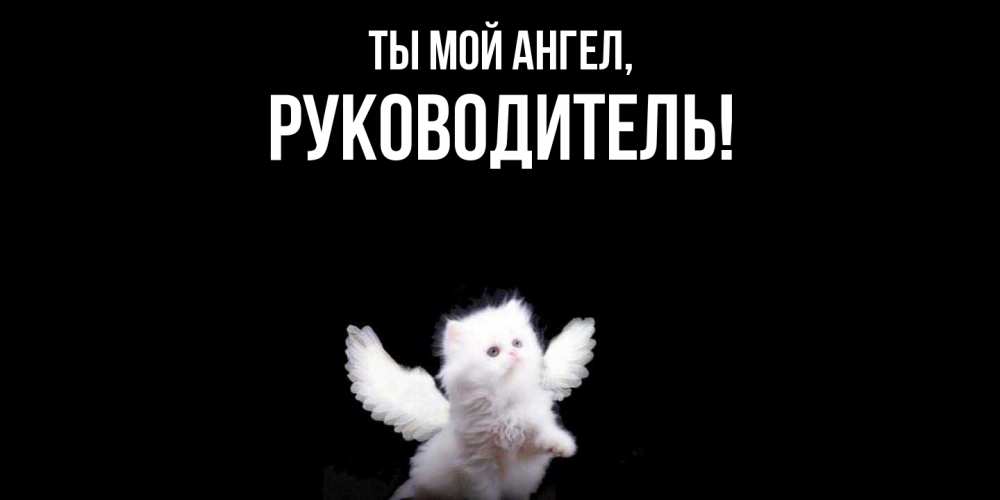 Открытка  для любимых и родных. Руководитель, Ты мой ангел  