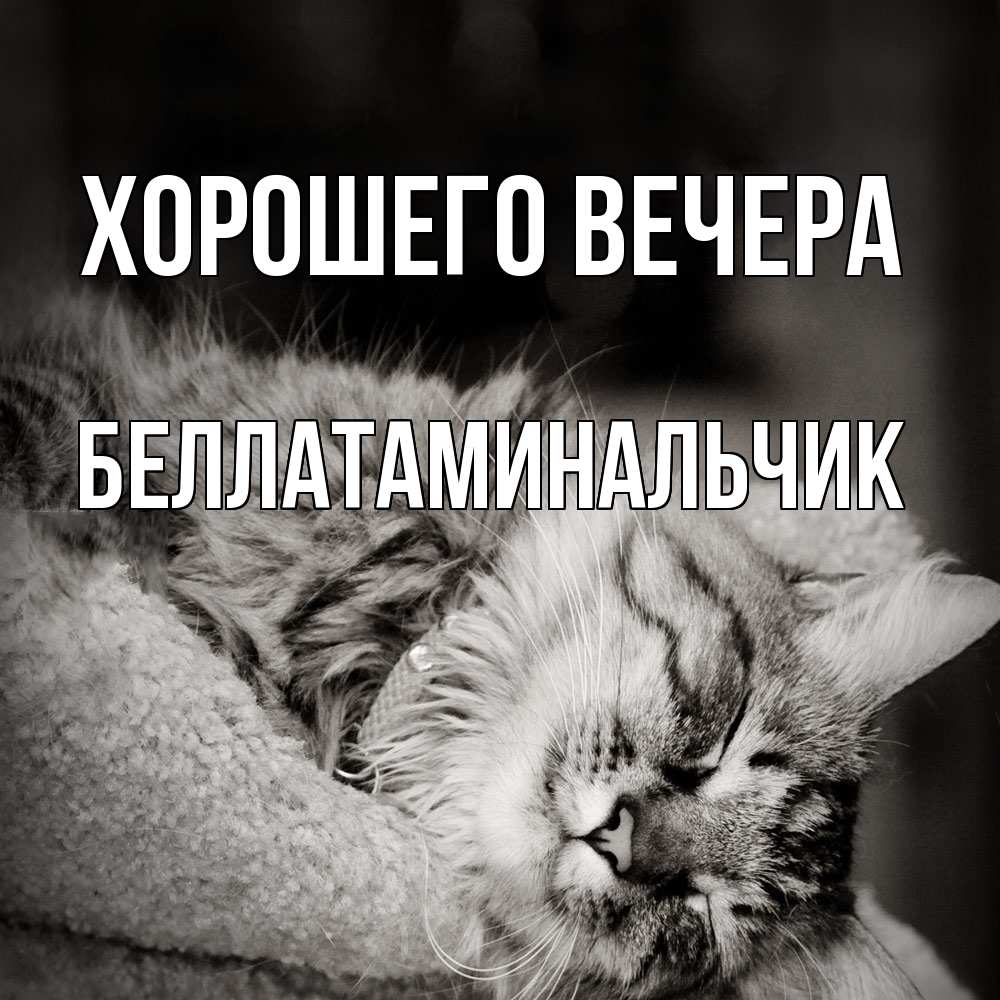 Открытка  для любимых и родных. беллатаминальчик, Хорошего вечера  