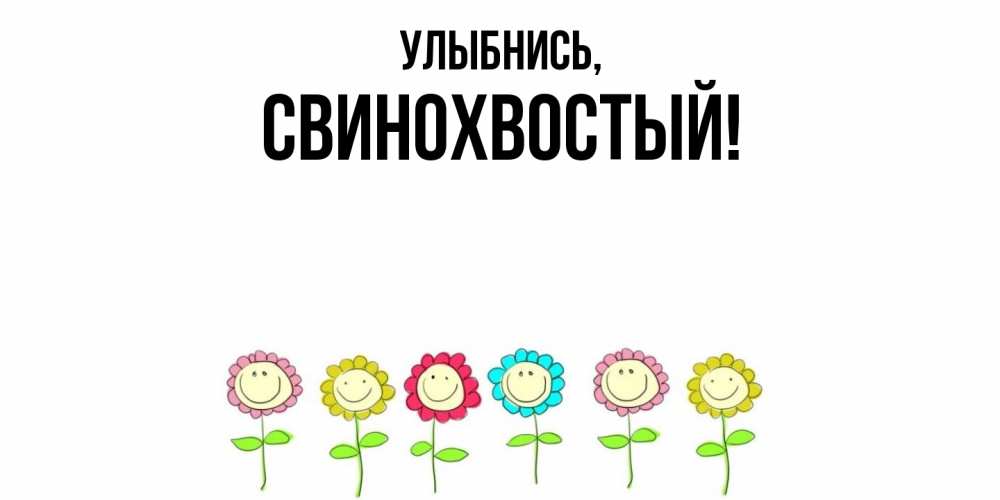 Открытка  для любимых и родных. свинохвостый, Улыбнись  