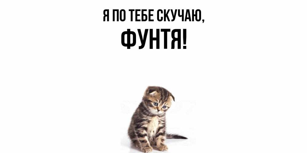 Открытка  для любимых и родных. фунтя, Я по тебе скучаю  