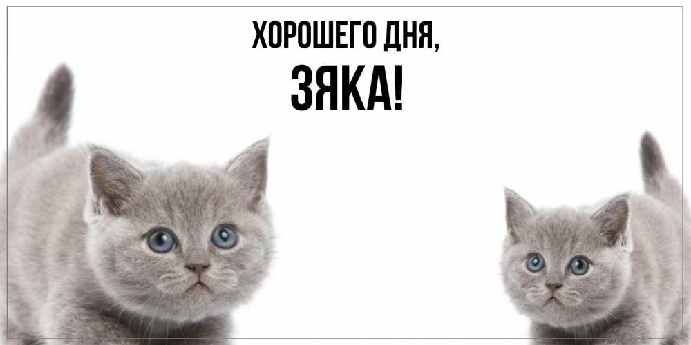 Открытка  для любимых и родных. зяка, Хорошего дня  
