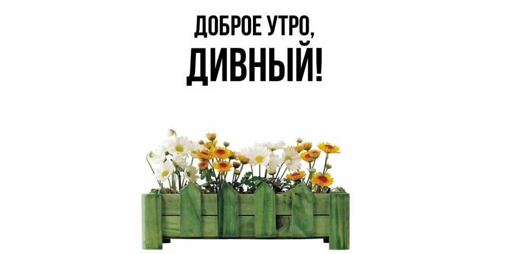 Открытка  для любимых и родных. дивный, Доброе утро  