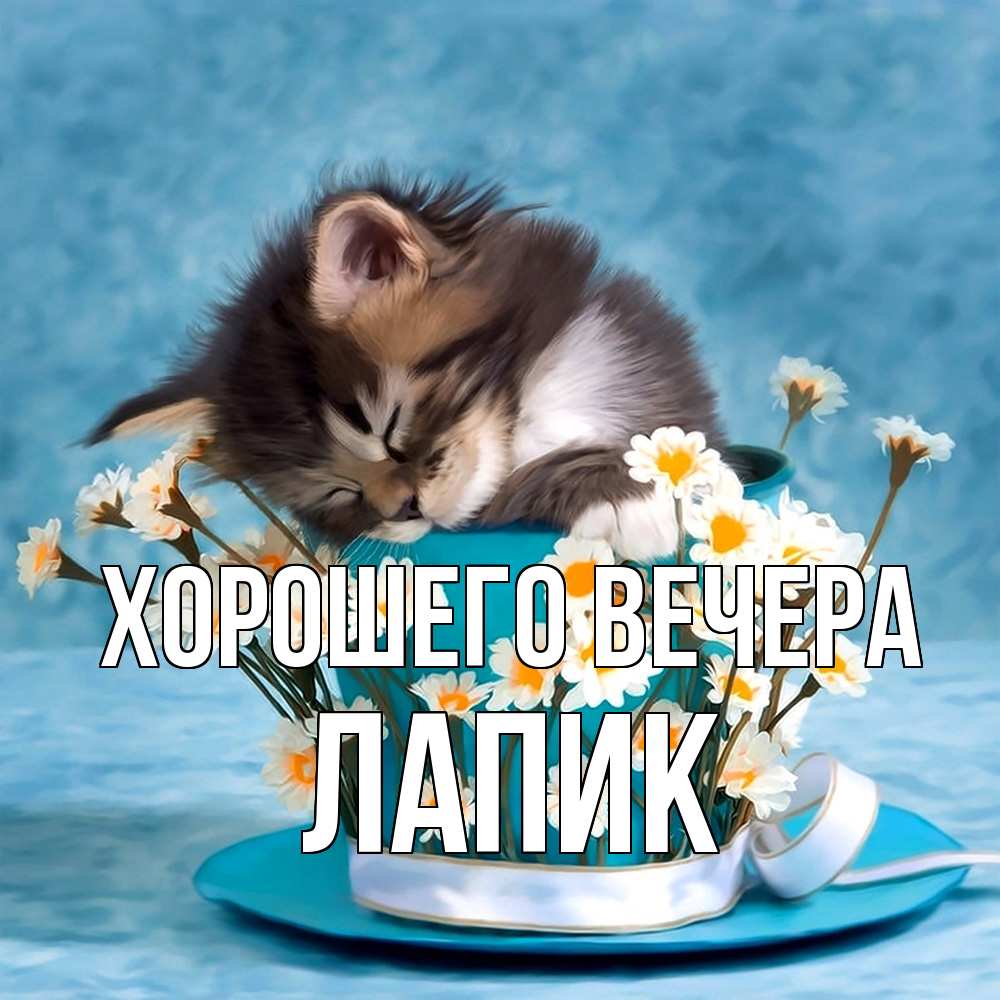 Картинка Хорошего вечера, лапик