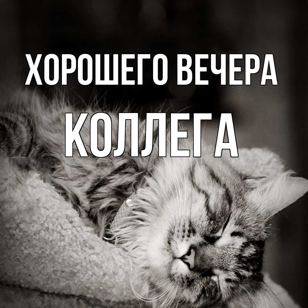 Открытка  для любимых и родных. Коллега, Хорошего вечера  