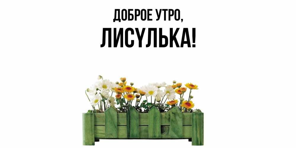 Картинка Доброе утро, лисyлька