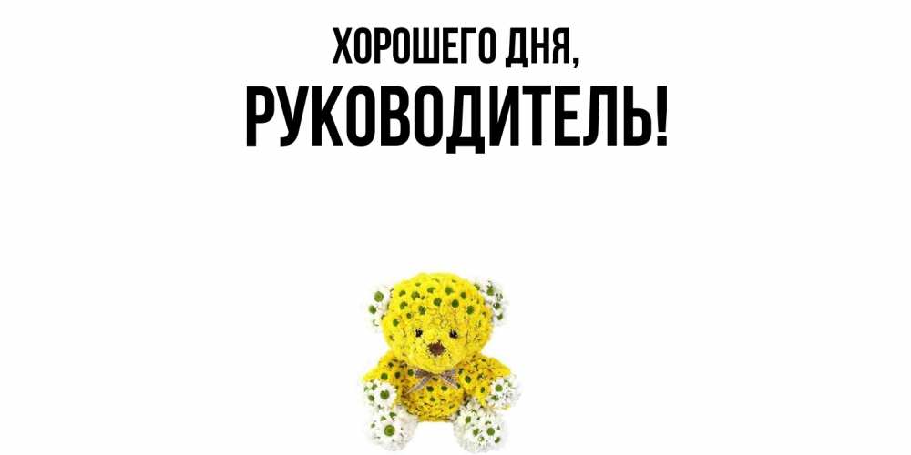 Картинка Хорошего дня, Руководитель