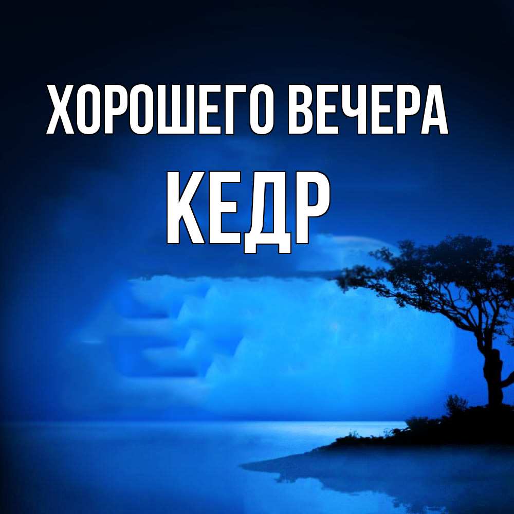 Открытка  для любимых и родных. кедр, Хорошего вечера  