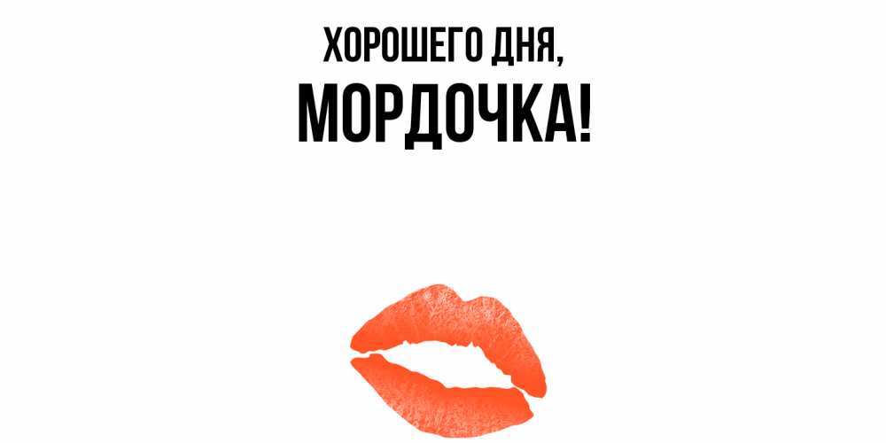 Открытка  для любимых и родных. мордочка, Хорошего дня  