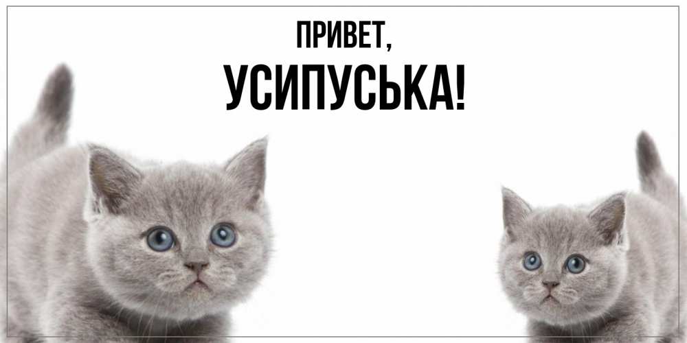 Открытка  для любимых и родных. усипуська, Привет  