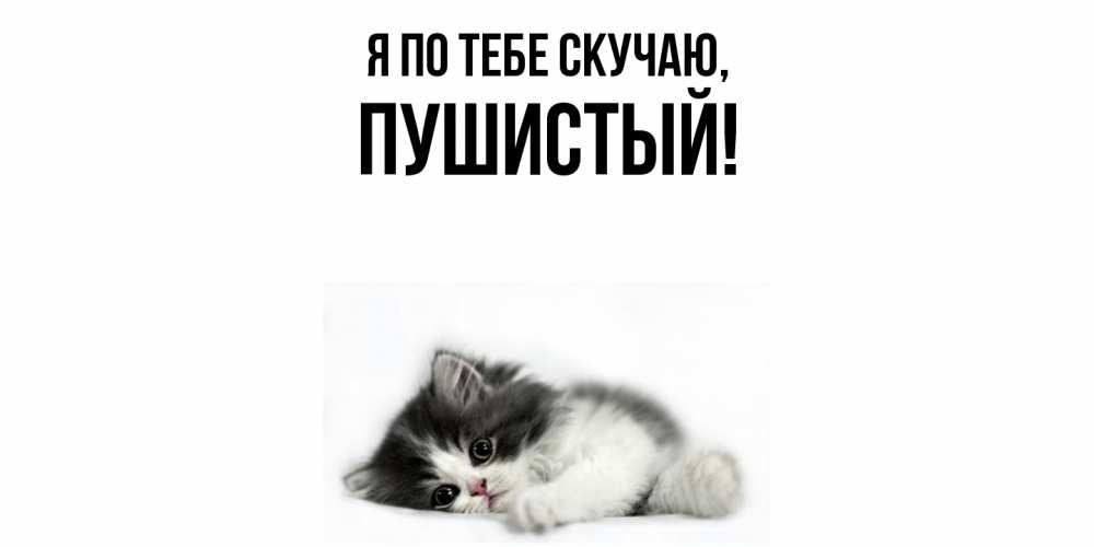 Открытка  для любимых и родных. пушистый, Я по тебе скучаю  
