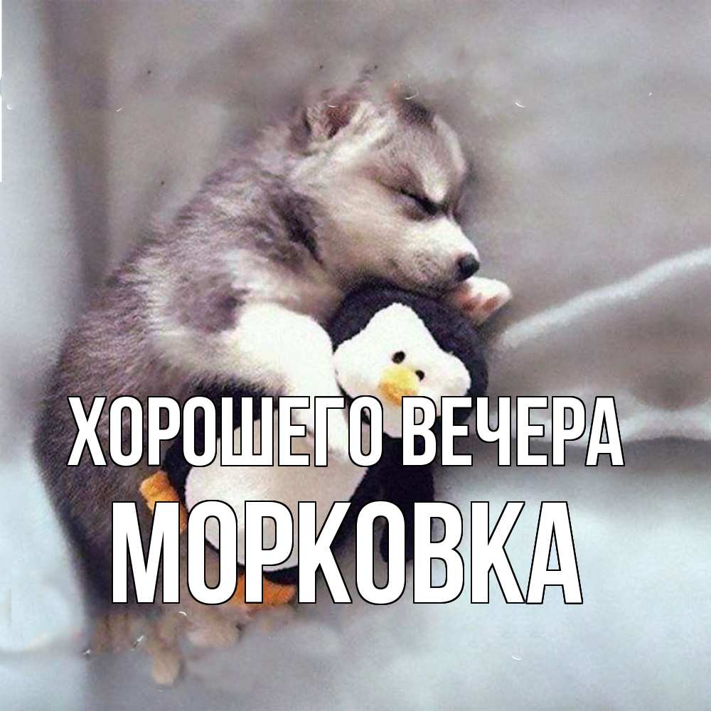 Открытка  для любимых и родных. морковка, Хорошего вечера  