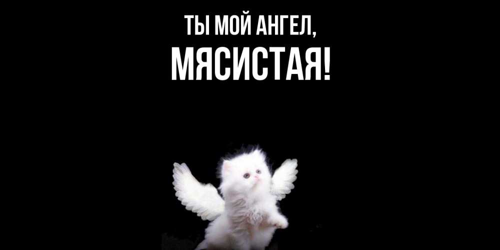 Открытка  для любимых и родных. мясистая, Ты мой ангел  