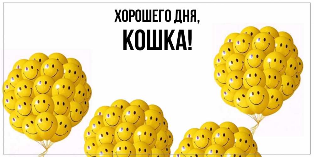 Картинка Хорошего дня, кошка