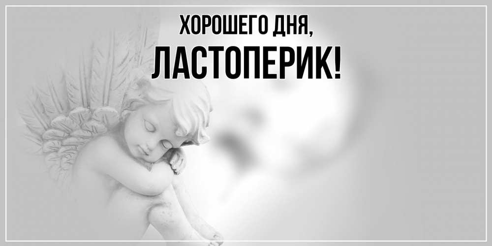 Открытка  для любимых и родных. ластоперик, Хорошего дня  