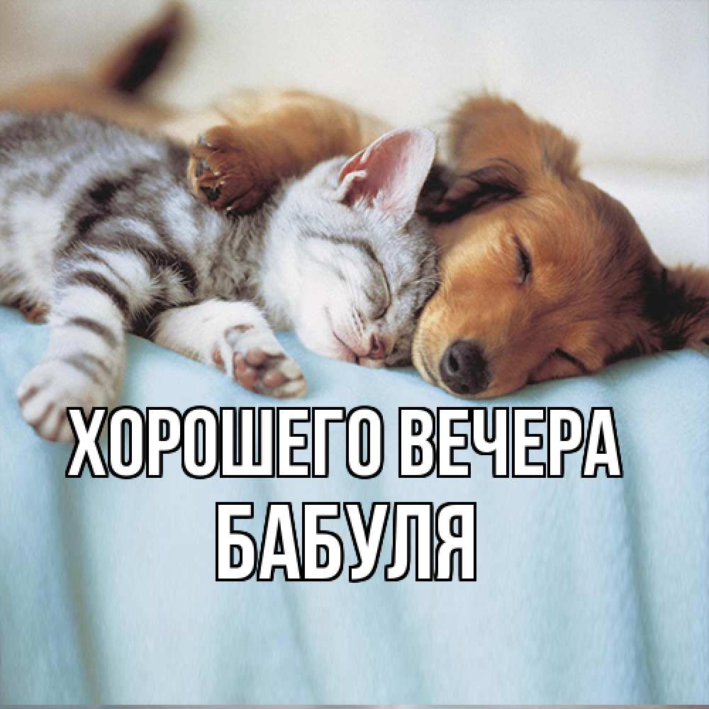 Открытка  для любимых и родных. Бабуля, Хорошего вечера  