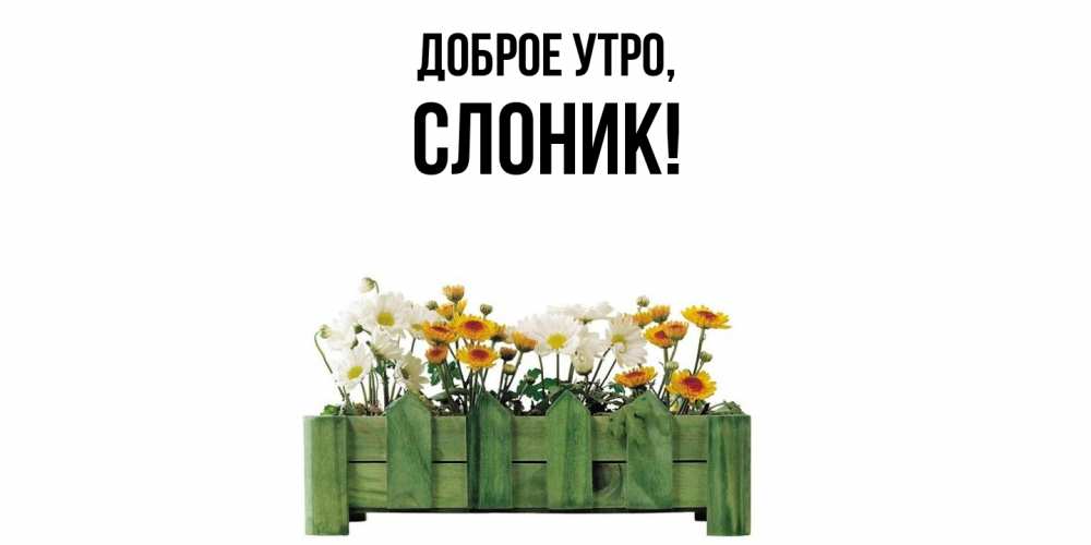 Открытка  для любимых и родных. слоник, Доброе утро  