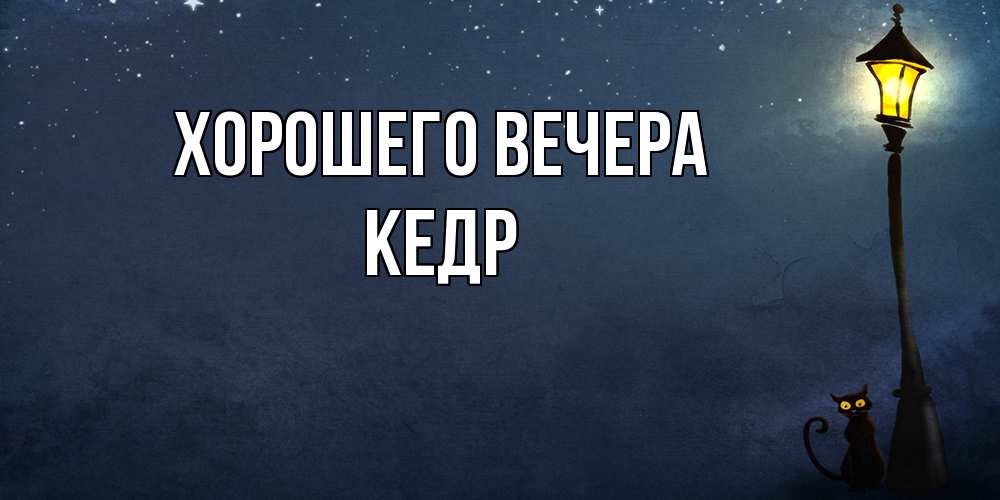 Картинка Хорошего вечера, кедр