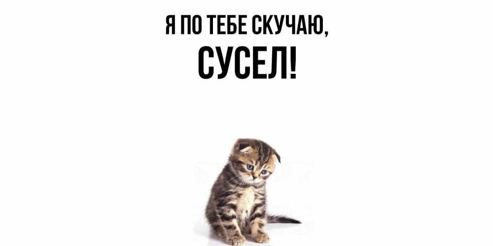 Открытка  для любимых и родных. сусел, Я по тебе скучаю  