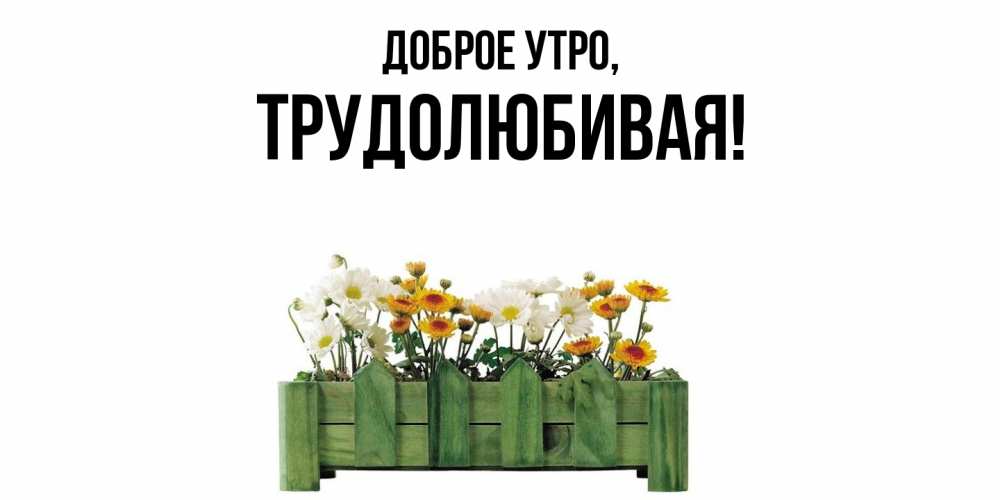 Открытка  для любимых и родных. тpудолюбивая, Доброе утро  