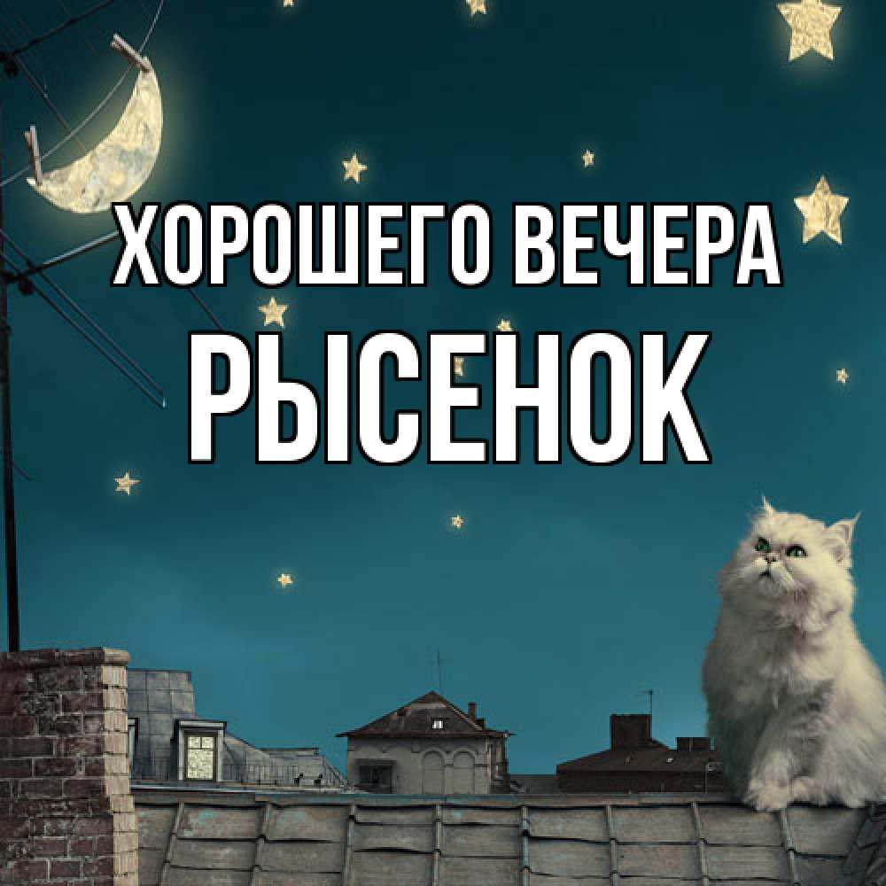 Открытка с именем, рысенок, Хорошего вечера