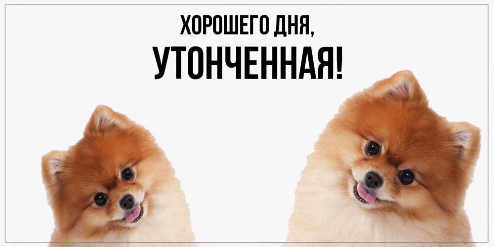 Открытка  для любимых и родных. утонченная, Хорошего дня  