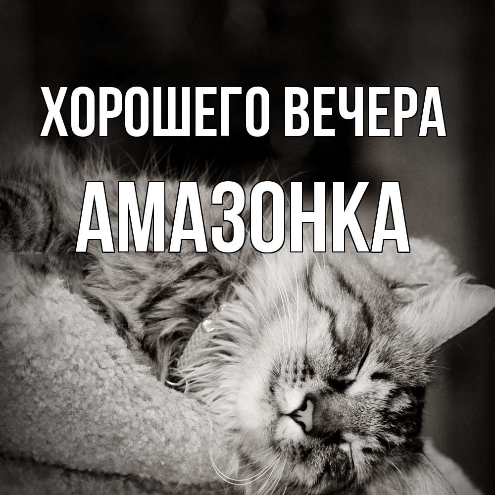 Открытка  для любимых и родных. амазонка, Хорошего вечера  