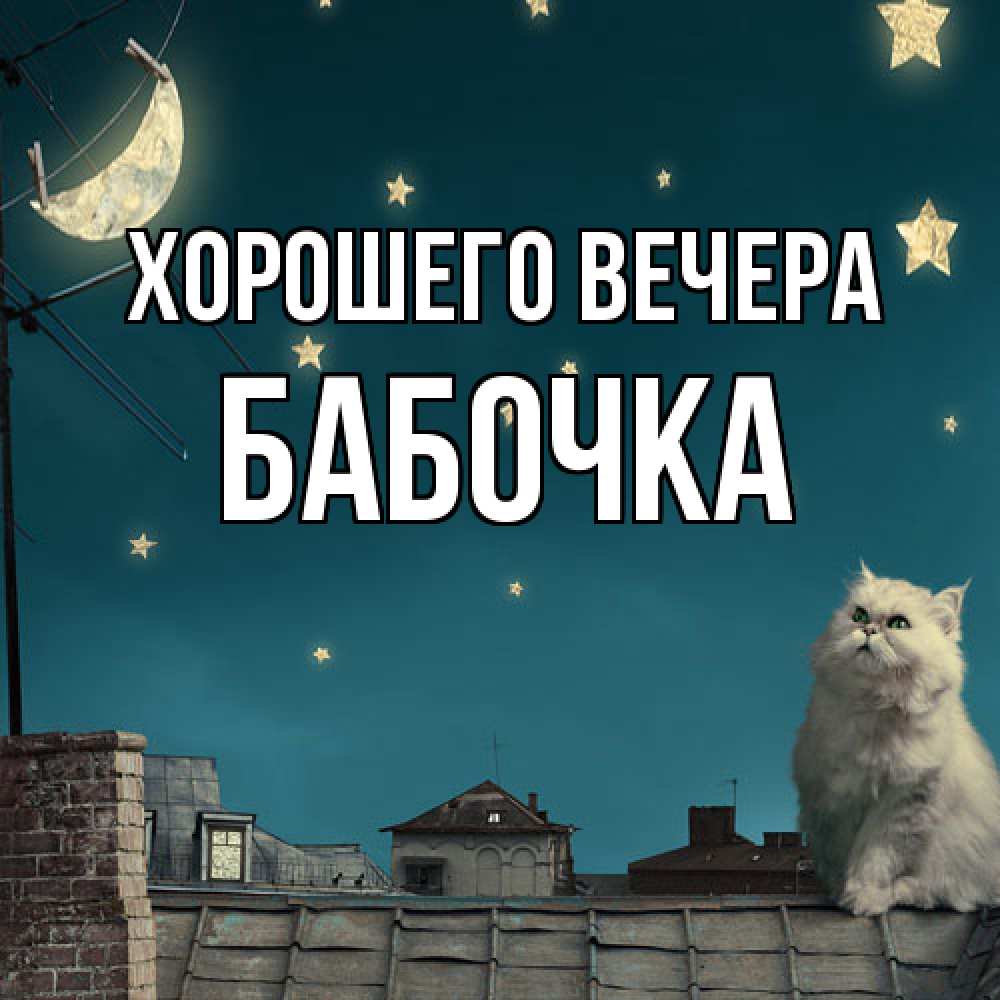 Картинка Хорошего вечера, бабочка