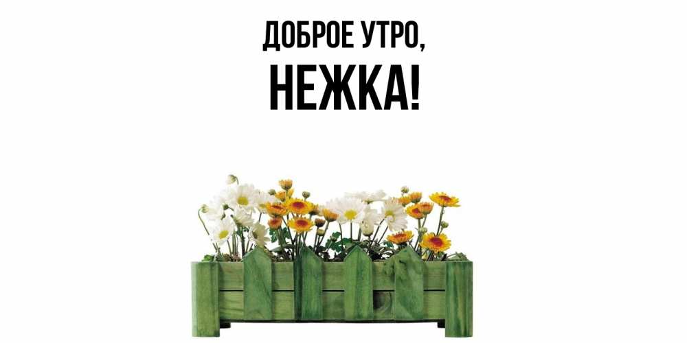 Открытка  для любимых и родных. нежка, Доброе утро  