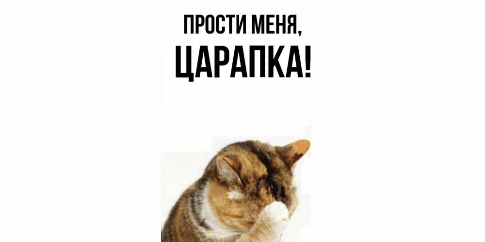 Картинка Прости меня, царапка