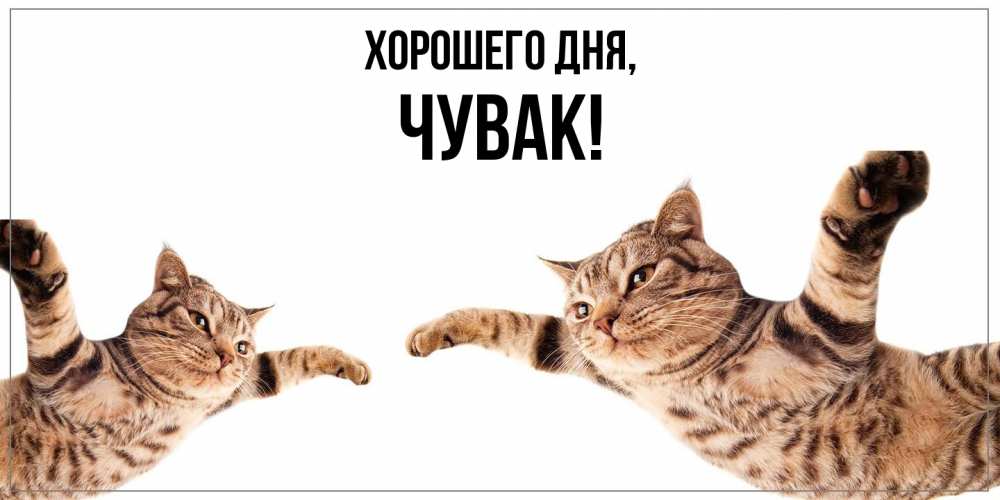 Открытка  для любимых и родных. Чувак, Хорошего дня  