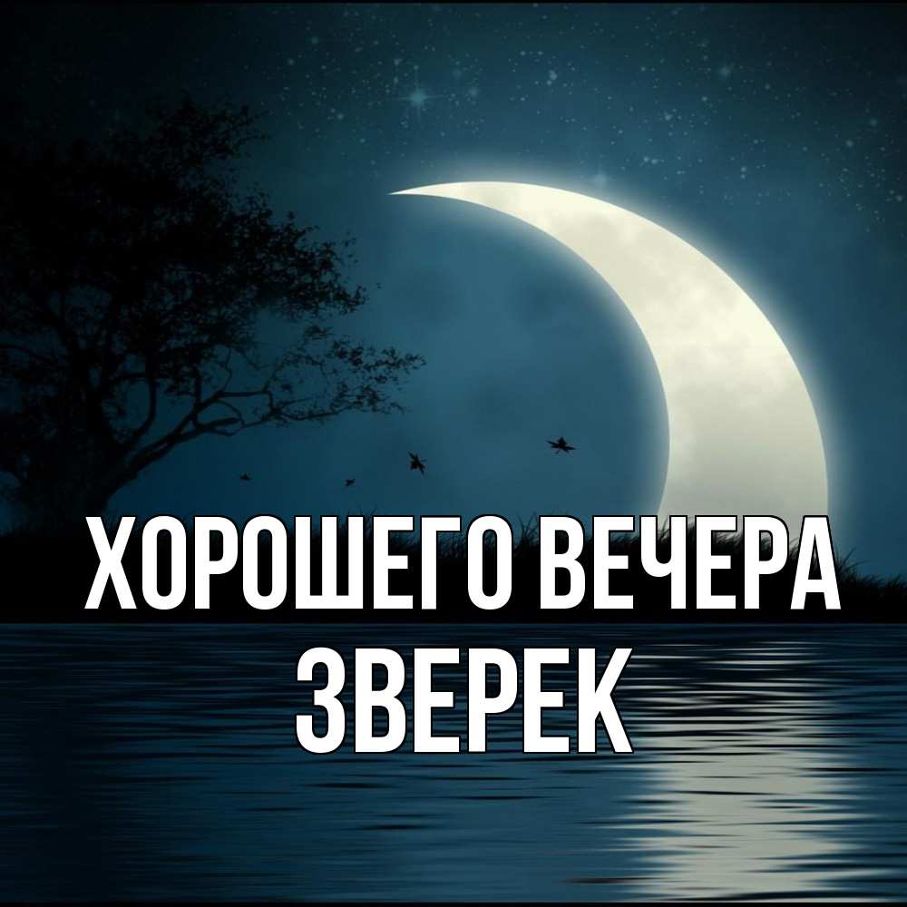Открытка с именем, зверек, Хорошего вечера