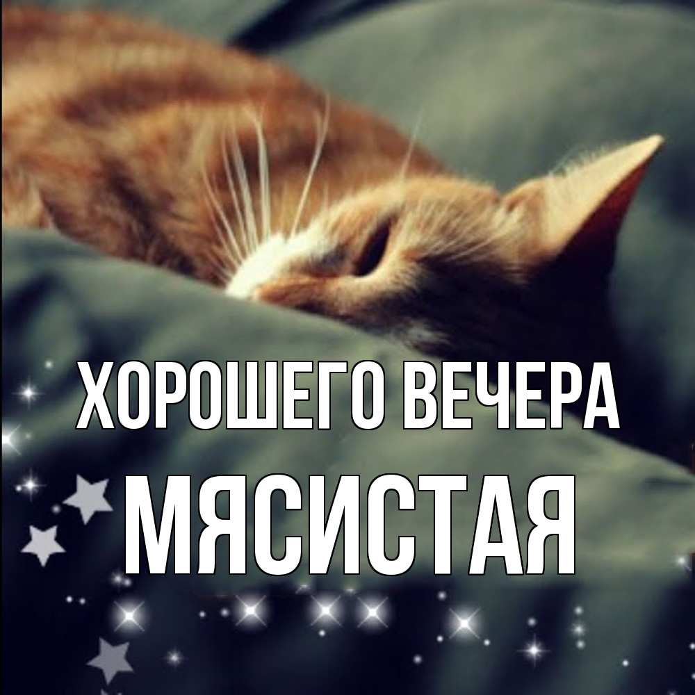 Открытка  для любимых и родных. мясистая, Хорошего вечера  