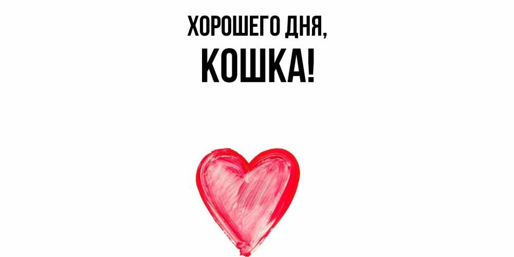 Открытка  для любимых и родных. кошка, Хорошего дня  