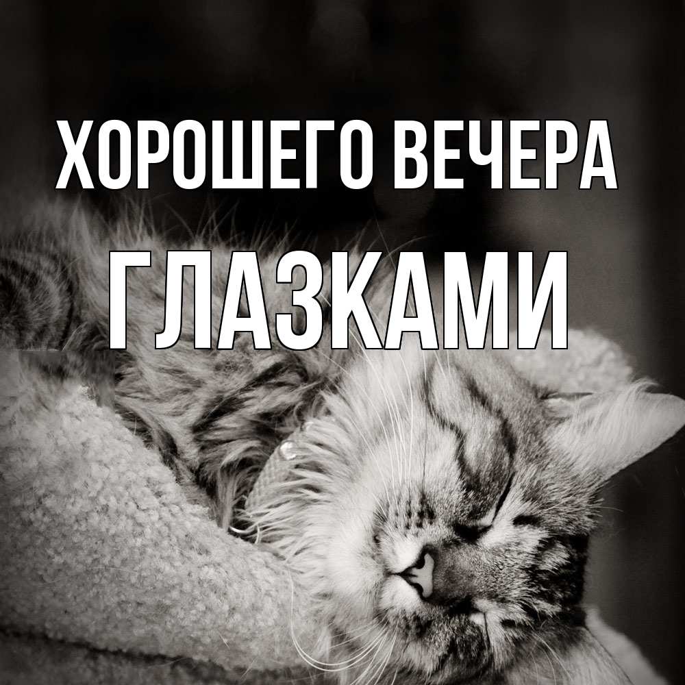 Открытка с именем, глазками, Хорошего вечера