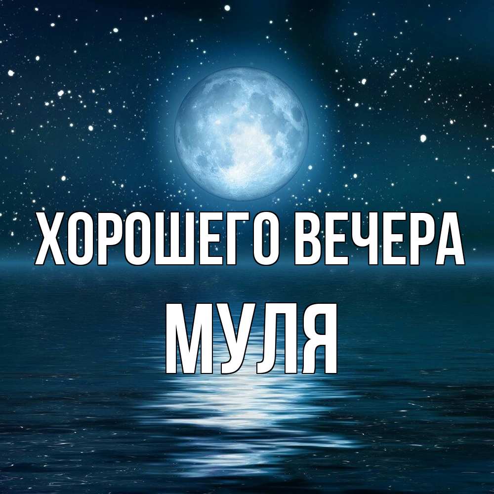 Картинка Хорошего вечера, муля