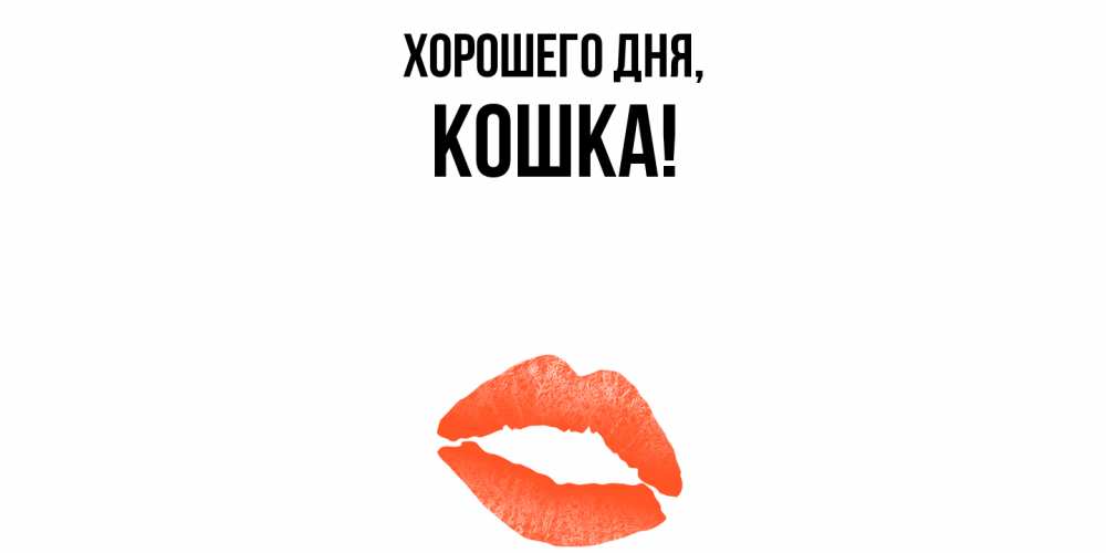 Открытка  для любимых и родных. кошка, Хорошего дня  