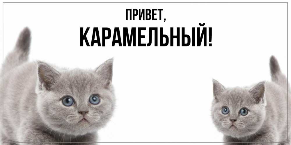 Открытка  для любимых и родных. карамельный, Привет  