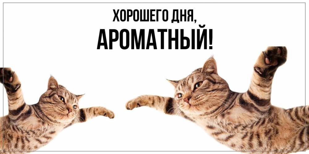 Открытка  для любимых и родных. ароматный, Хорошего дня  