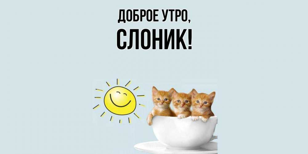 Открытка  для любимых и родных. слоник, Доброе утро  