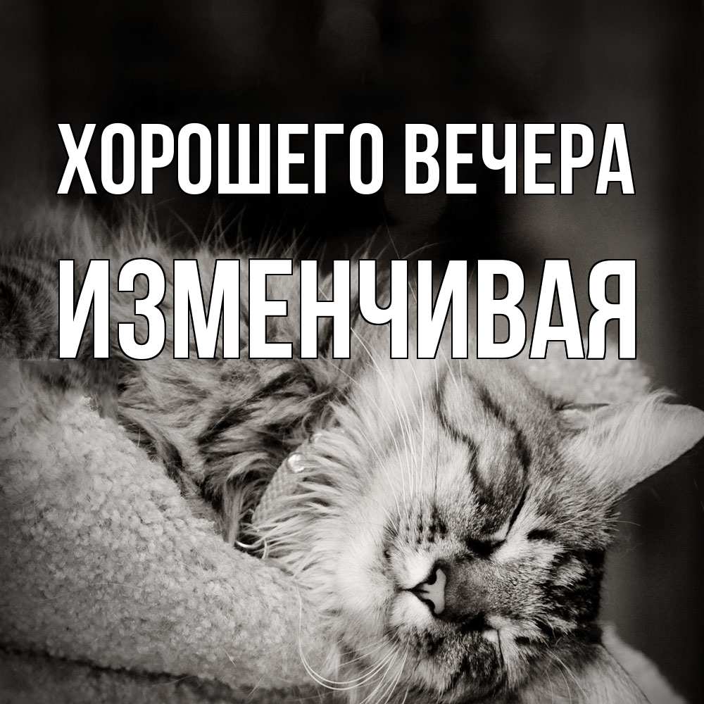 Открытка  для любимых и родных. изменчивая, Хорошего вечера  