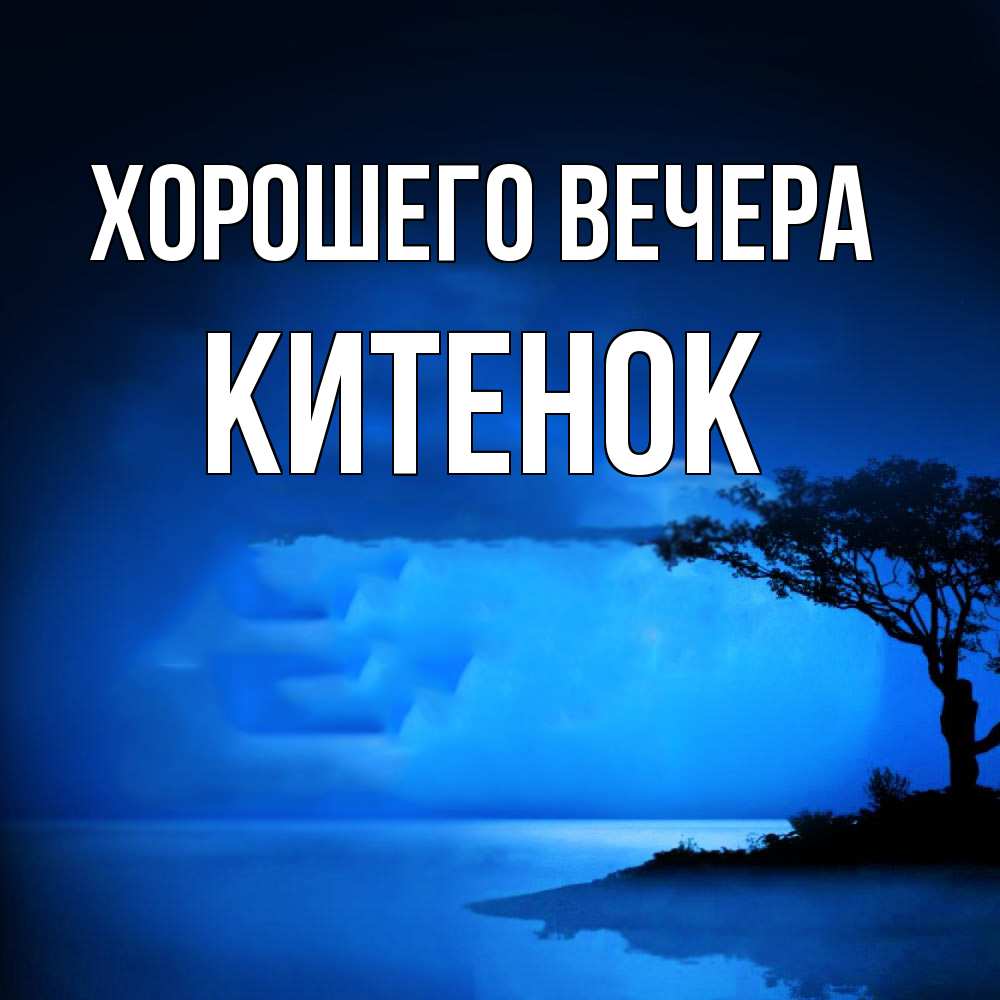 Открытка с именем, китенок, Хорошего вечера
