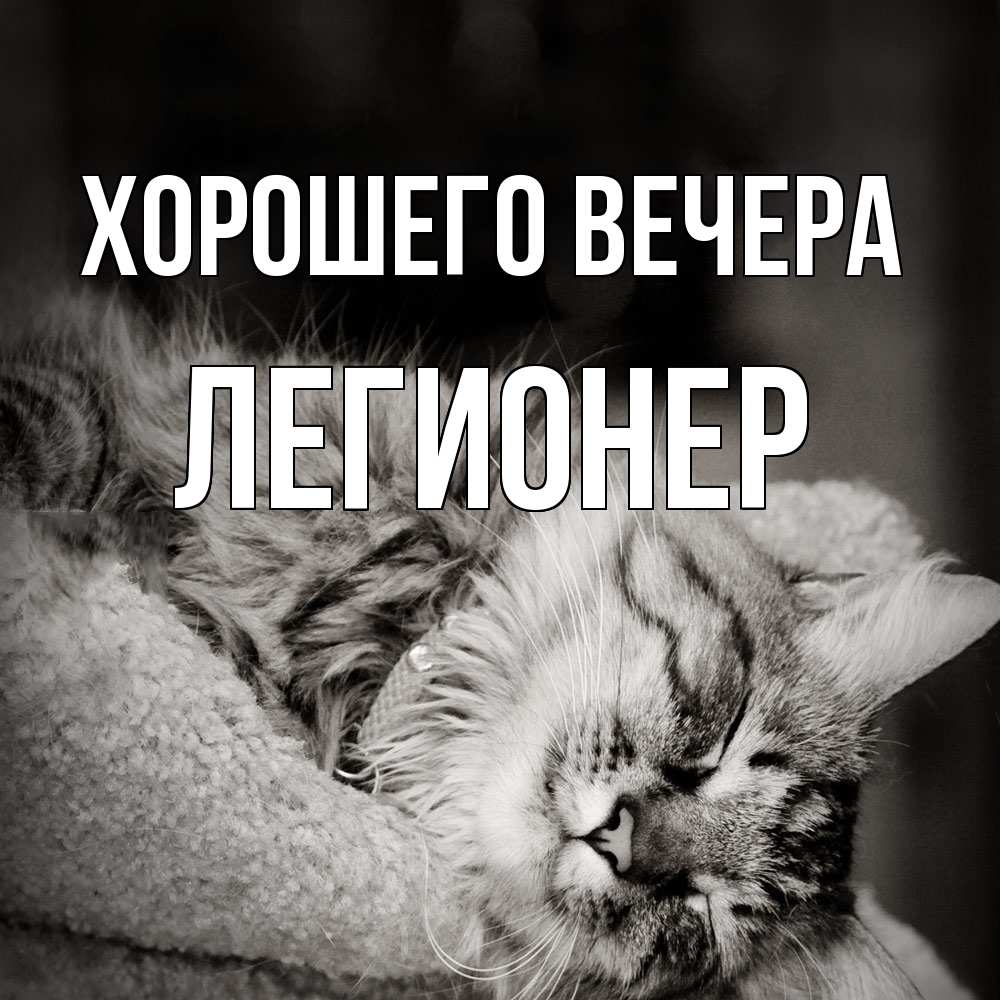 Открытка  для любимых и родных. легионер, Хорошего вечера  