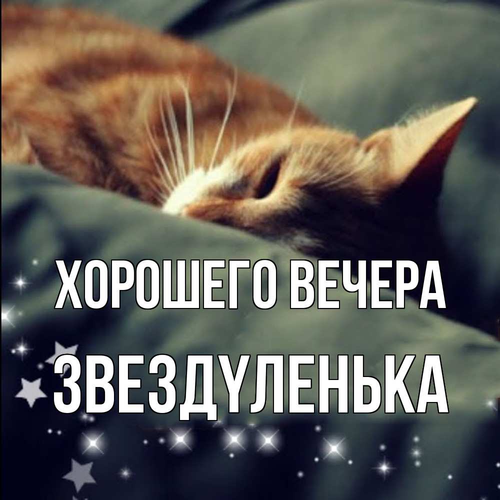 Открытка  для любимых и родных. звездyленька, Хорошего вечера  