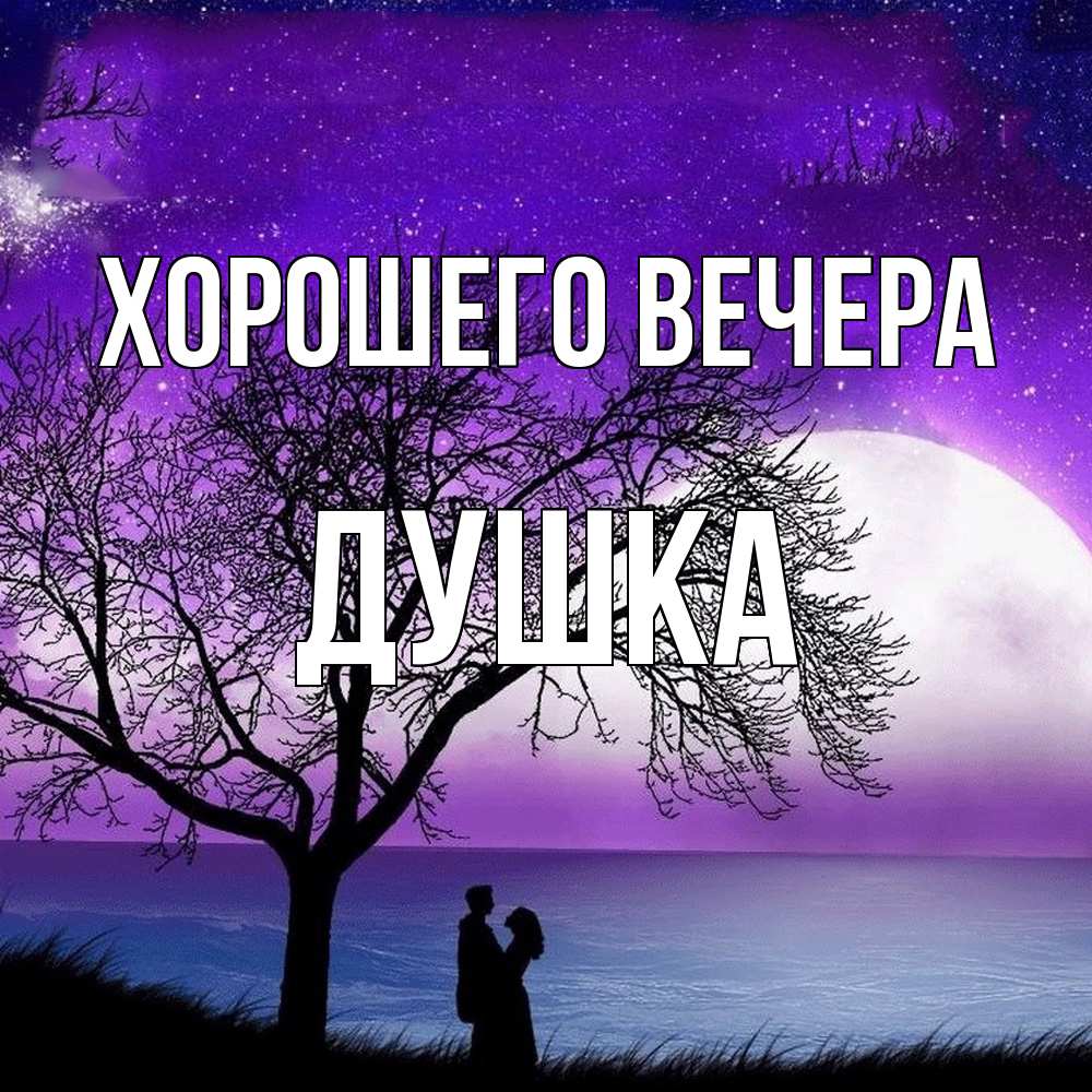 Открытка  для любимых и родных. душка, Хорошего вечера  